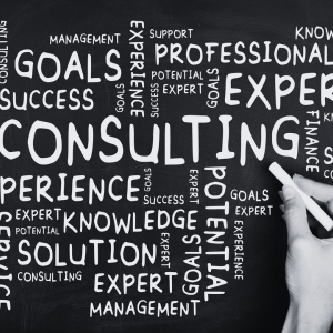 Sisekela Business Consulting