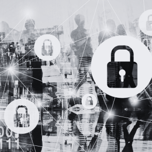 Sisekela Cyber Security Services