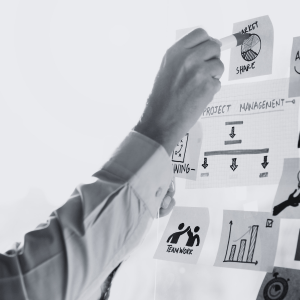 Sisekela Special Projects